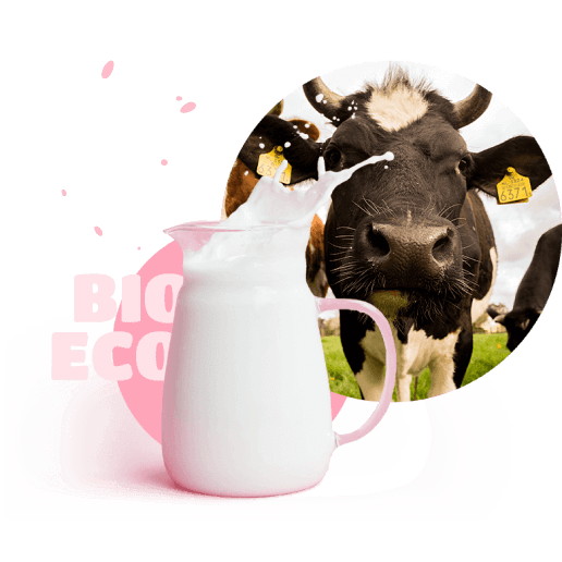 cow and bottle of milk