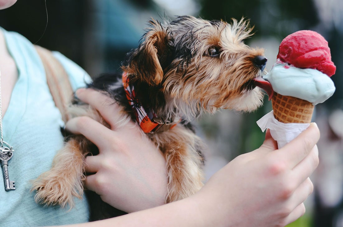 icecream